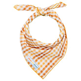 Seasoned Plaid Everyday Matching Set